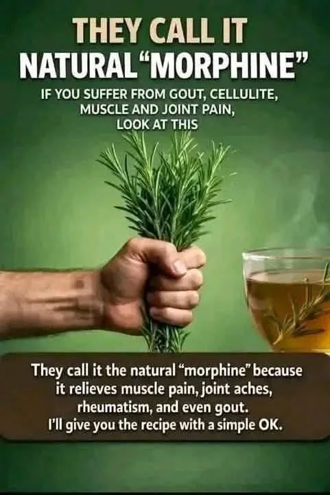 “Rosemary Anti-Inflammatory Herbal Tea”